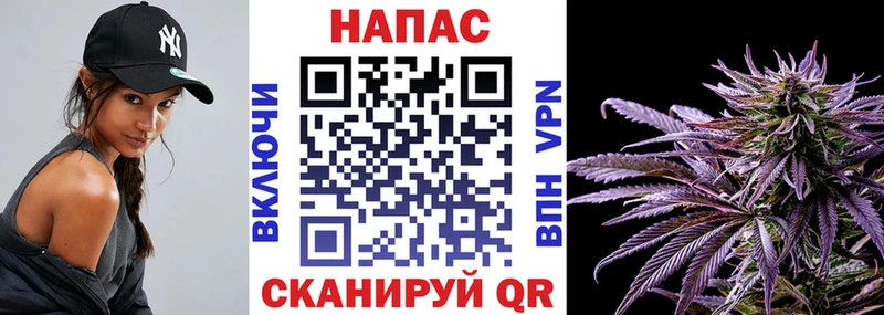 МАРИХУАНА сатива  Ворсма 